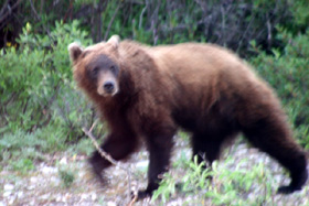 �N���b�N����ƃX���C�h�ʐ^���������